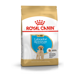 Royal Canin BHN Labrador Retriever Puppy 12kg